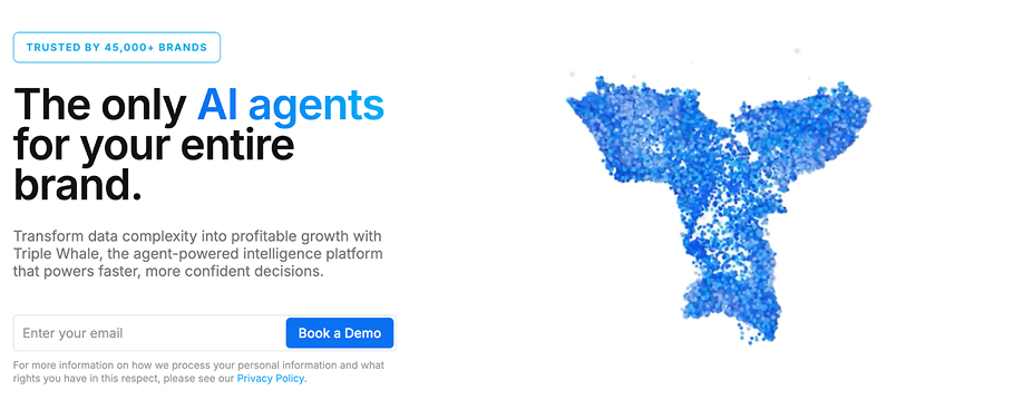 Homepage for Triple Whale.
